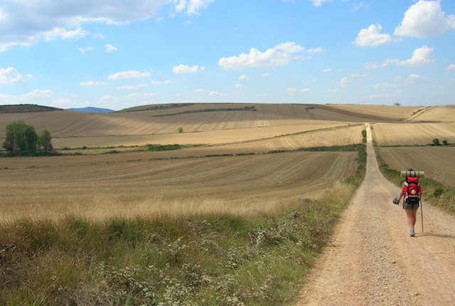 Foto cedida por José Antonio Gil Martínez via Flickr