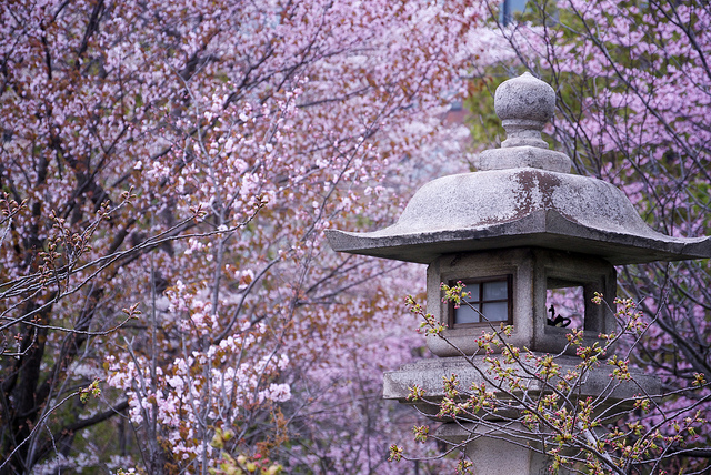 Foto cortesía de MIKI Yoshihito a través de Flickr