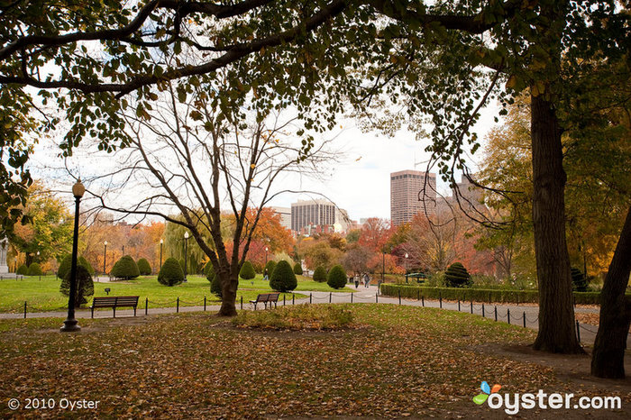 O Taj Boston fica ao lado do Boston Public Garden e oferece vistas de vários dos seus quartos.