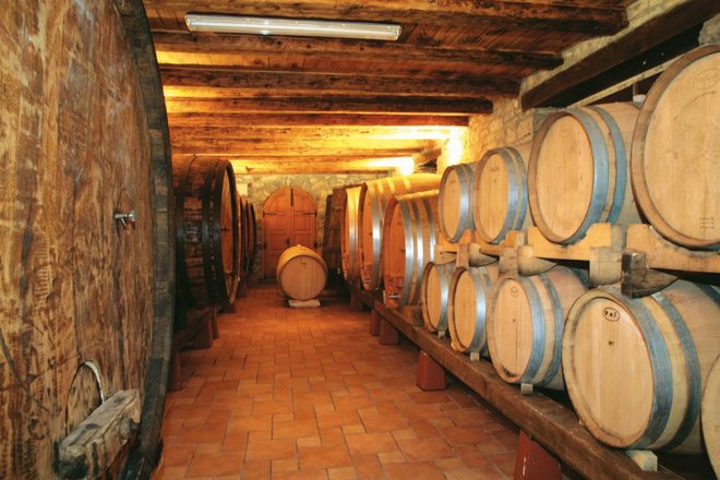 Cantina per vini dei colori dell'Istria