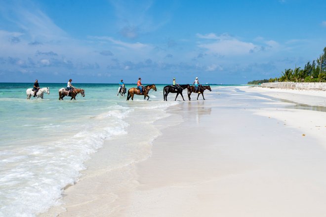 La plage de l' Island Seas Resort / Oyster