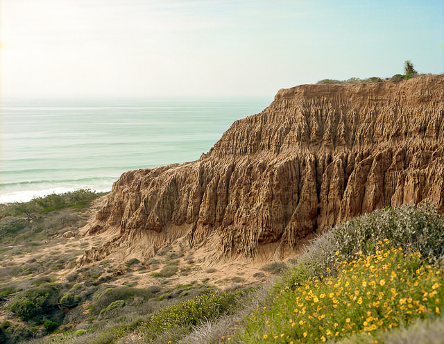 Torrey Pines. Cortesia de Jeeheon / Flickr.