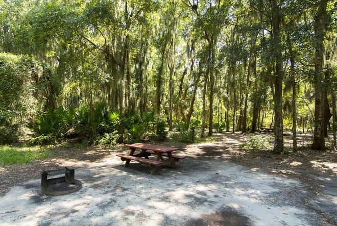 Tent Site at Jekyll Island Campground/Oyster