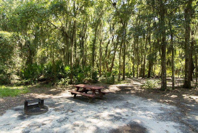 Tenda a Jekyll Island Campground / Oyster