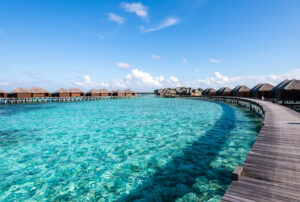 Coco Bodu Hithi/Oyster