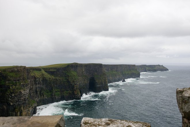 Cliffs of Moher / Oyster