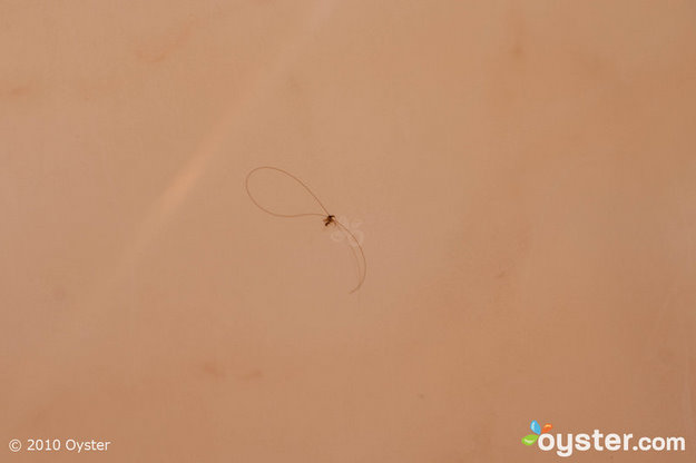 We found a hair and what appears to be a booger in our tub at the Celuisma Paraiso Tropical.