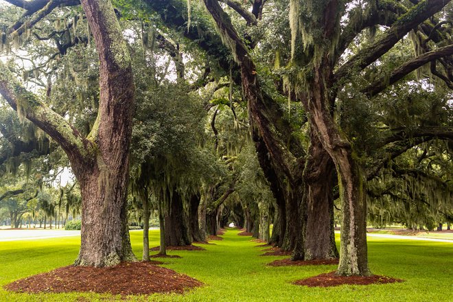 O Lodge em Sea Island / Oyster