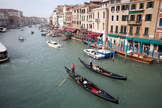 Venezia / Oyster