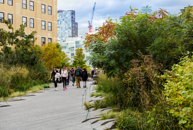 The High Line in Chelsea, New York City/Oyster