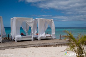 Playa en Viva Wyndham Dominicus Palace Resort