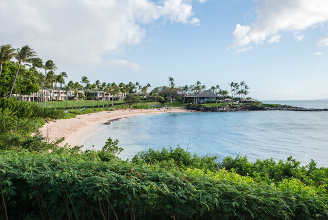 Beach at the Montage Kapalua Bay/Oyster