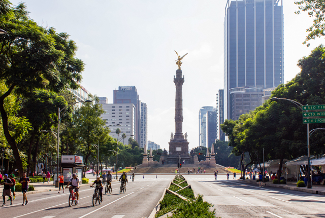 Angel Independencia / Oyster