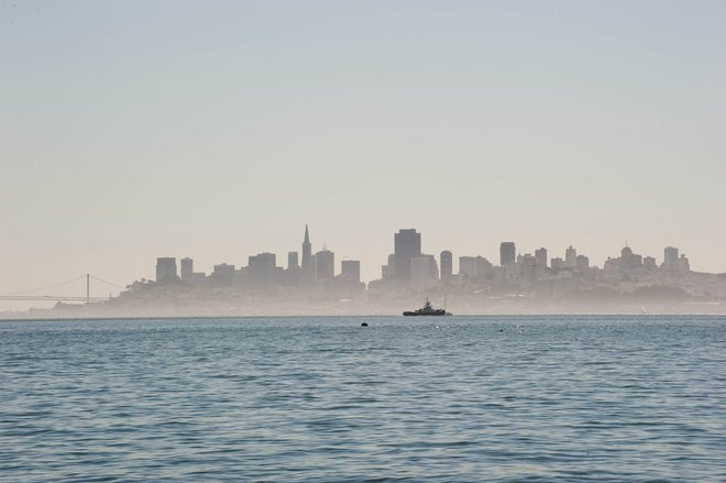 San Francisco/Oyster