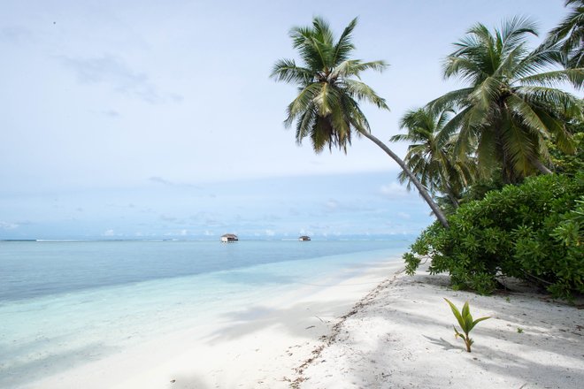 Die Beach Villa im Medhufushi Island Resort / Oyster