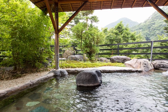 Public Baths at Hotel Sunshine Kinugawa/Oyster