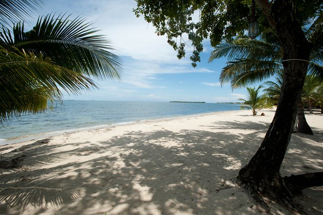 Plage au Turtle Inn / Oyster