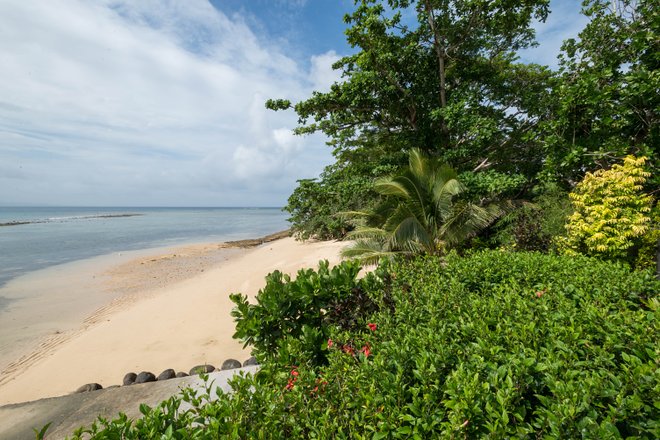 Die Beach Villa Pool im Taveuni Palms Resort / Oyster