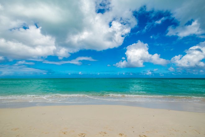 Praia no COMO Parrot Cay, Turks e Caicos / Oyster