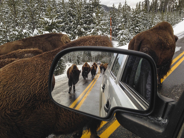 Parque Nacional de Yellowstone / Flickr