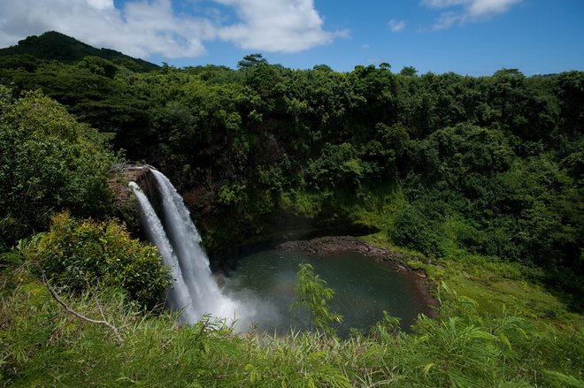 Opaekaa Falls, Kauai, Hawaii/Oyster