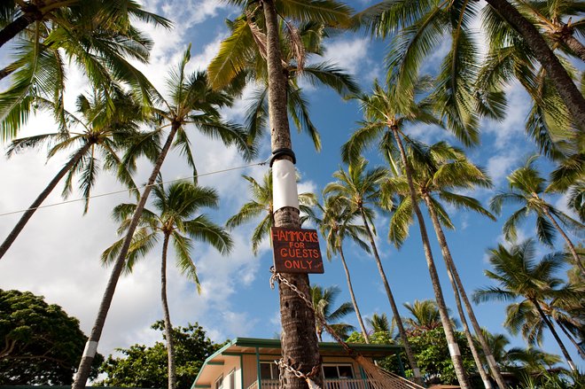 Grounds at the Ke Iki Beach Bungalows, North Shore, Oahu/Oyster