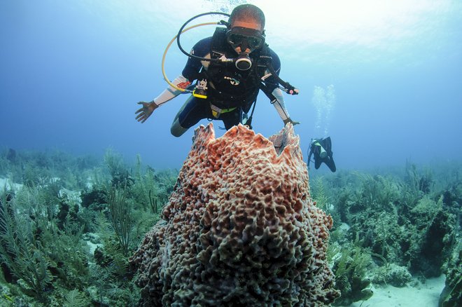 Foto cortesía de la Junta de Turismo de Belice