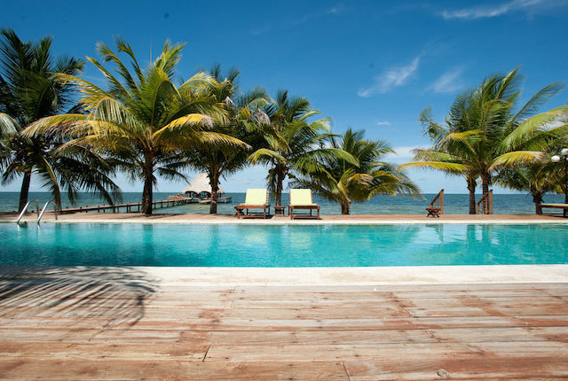 Robert's Grove Beach Resort, Belize / Ostra