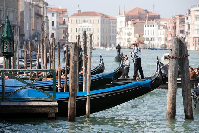 Canal Grande, Venedig / Auster