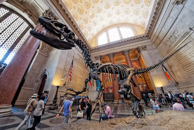 Museu americano de história natural;  Don DeBold / Flickr