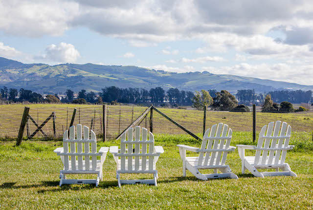 Carneros Resort and Spa, Napa/Oyster