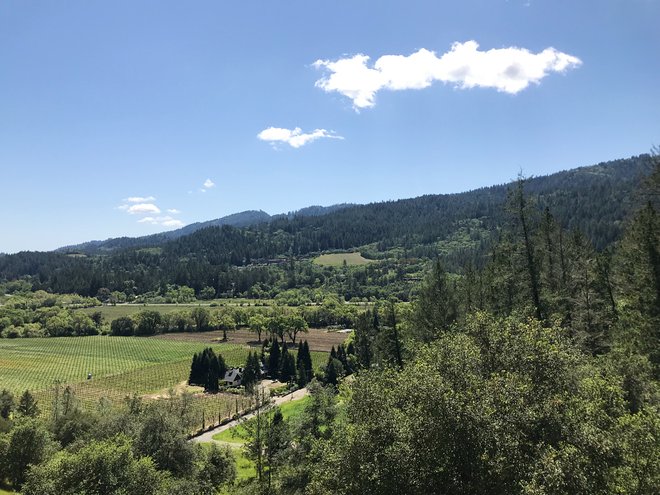 Vista desde Sterling Vineyards; Lara Grant