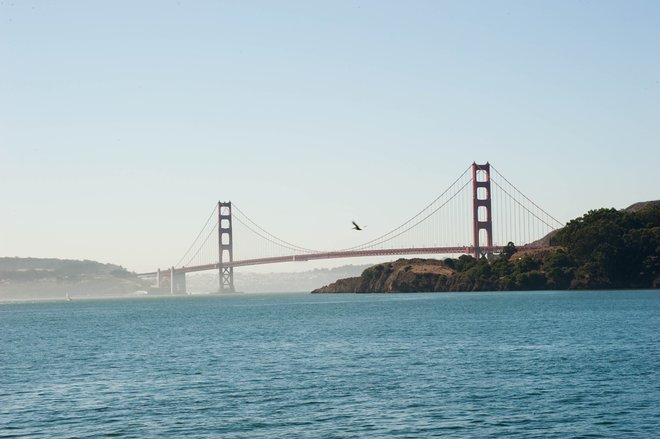 Ponte Golden Gate em São Francisco / Ostra