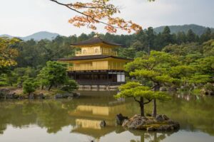 Kinkakuji, Kyoto/Oyster