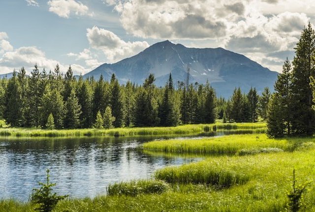 Yellowstone. Per gentile concessione di ritiri collettivi