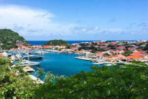 St. Barts/Oyster