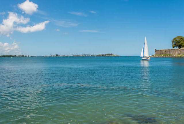 Vieux San Juan / Huître