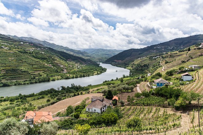 Valle del Douro; Teddie Bridget Proctor / Flickr