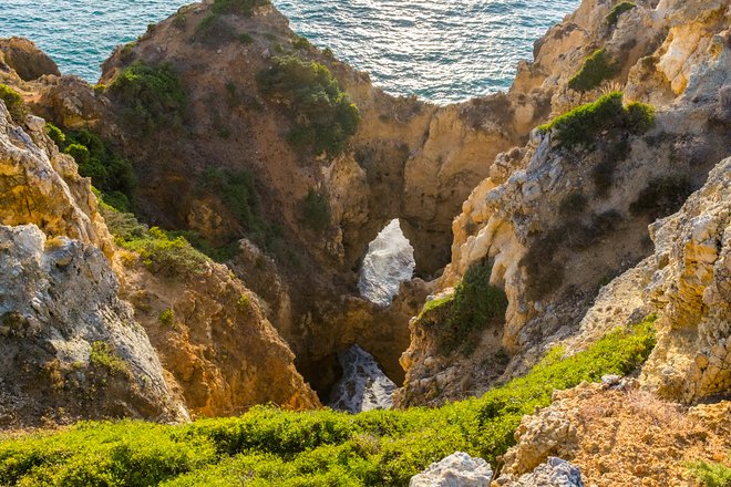 Lagos, Algarve / Ostra