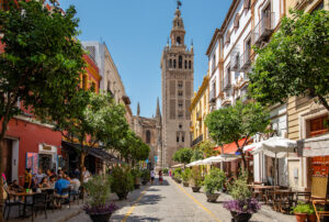 La Giralda, Seville/Oyster