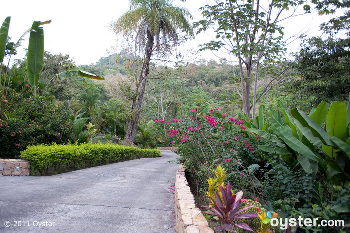 Gaia Hotel and Reserve, Costa Rica