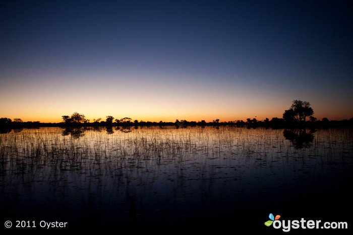 River Cruise at the &Beyond Xaranna Okavango Delta Camp