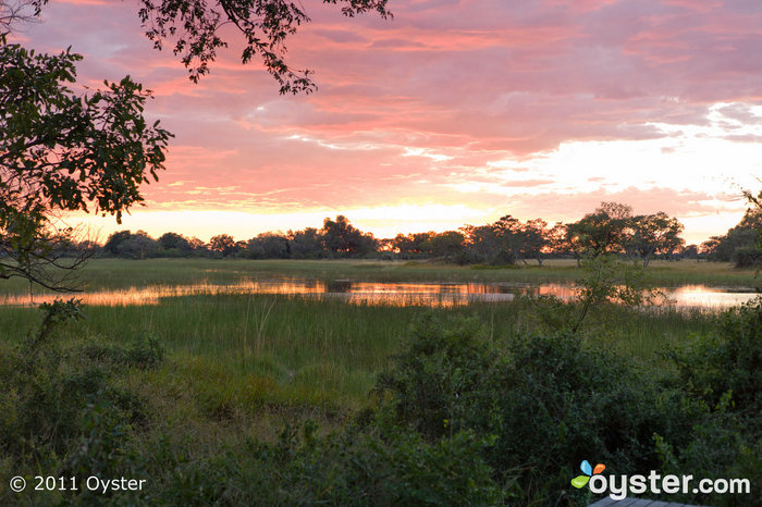 Terrain au camp de Delta de l'Okavango & Beyond Xaranna; Botswana