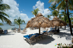 Beach at the Marriott Key Largo Bay Beach Resort; Florida Keys