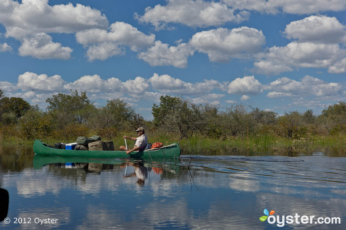 Guide at the Selinda Canoe Trail -- Botswana