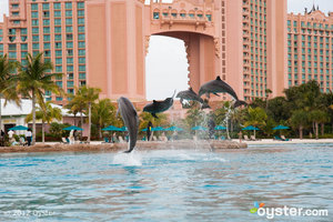 L'Atlantis Resort; Bahamas