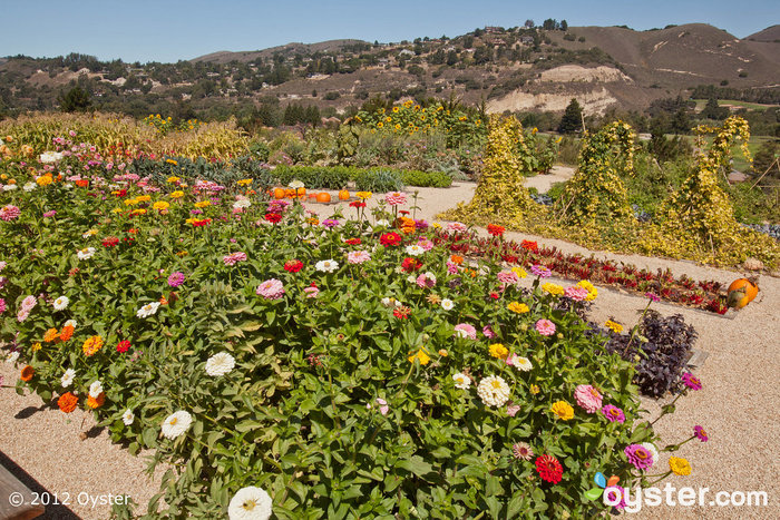 Jardín orgánico en el Rancho Carmel Valley