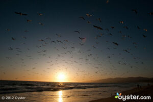 Soaring Sunset at the Huntley Hotel Santa Monica Beach