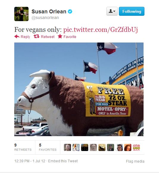 Os tweets de Orlean são engraçados, auto-depreciativos e pungentes
