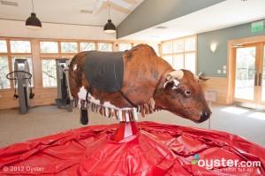Mechanical bull in the gym? Now there's a workout we can stick to!